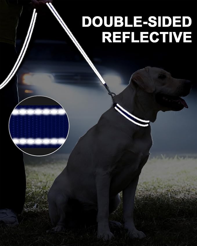 Taglory Dog Leash for Medium Large Dogs, Double-Sided Reflective for Night Walking, Neoprene Padded Handle, 1 inch by 4 ft, Heavy Duty for Medium Large Breeds 20-150 lbs, Navy Blue
