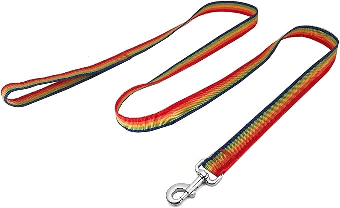 Strong Nylon Dog Leash, 4FT/ 5 FT/ 6FT Dog Leashes for Medium Large Dogs (5FT, Rainbow)