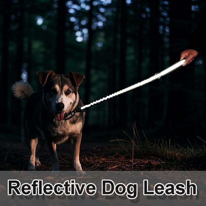 2FT Bungee Dog Leash, Highly Reflective Strong Nylon Traffic Leash, Shock Absorbing Short Pet Lead for Large Medium Dogs Walking Training Controlling, Blue