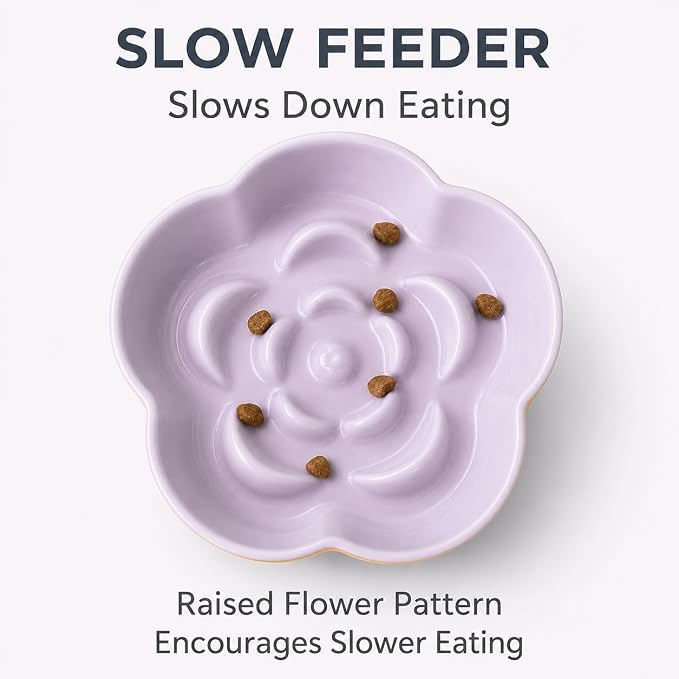 Ceramic Elevated Slow Feeder Cat Bowl, Raised and Gently Tilted Feeding Dish with Maze Design, Whisker-Friendly, Easy to Clean, for Indoor Cats and Small Dogs (Yellow/Purple)
