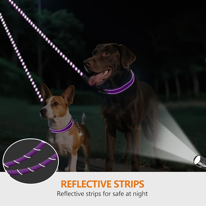 Taglory Double Dog Leash Coupler for Two Dogs, 1/3" Lightweight Dual Leash Extension for Small and Medium Dogs, No Tangle 360° Swivel, Reflective Rope, 30 Inch, Purple