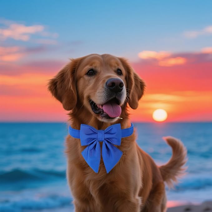 Maca Bates Klein Blue Dog Collar with Cute Solid Sailor Bow Tie for Medium Girl Boy Dogs,Adjustbale Durable Breakaway Soft Collars with Bowtie for Female Male Puppy,Pet with Metal Buckle
