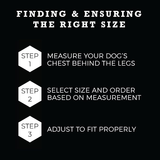 Wolfgang Heavy Duty Adjustable Dog Harness, Pull-Tested to Over 800 lbs for Walking & Training, SunsetPalms Print, Extra Large