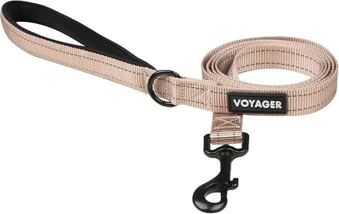 Best Pet Supplies Voyager Reflective Dog Leash or Collar with Neoprene Handle, for Small, Medium, and Large Breed Puppies, Cute and Heavy Duty for Walking, Running and Training - Khaki (Leash), S