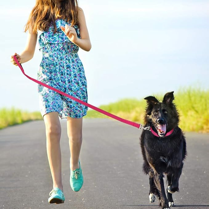 FunTags 4FT Hot Pink Reflective Dog Leash for Large & Medium Dogs Training, Soft Padded Handle Comfortable Grip, Heavy Duty Nylon, Reflective for Night Walking, 1in Wide