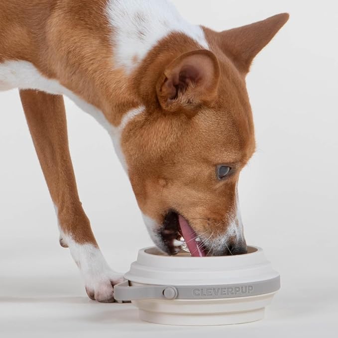 Cleverpup Nomad Small Collapsible Travel Dog Bowl - 2 Cup BPA-Free Silicone for Small & Medium Dogs, Portable, Sturdy, Food & Water, Dishwasher Safe - Sand Silicone
