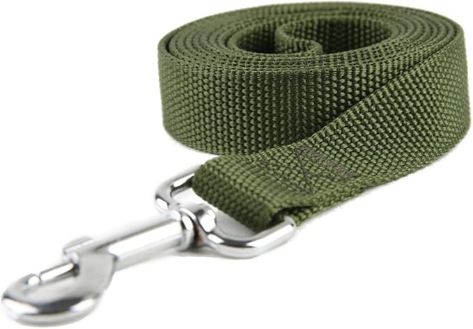 Nylon Dog Training Leash, Traction Rope, 4/5/6 Feet Long, 3/4 Inch 1 Inch Wide, for Small and Medium Dogs (1'' x 5 FT, Green)
