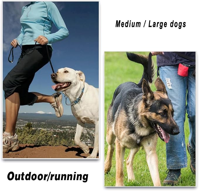 LWBMG Leather Dog Leash - 6ft x 3/4 inch Heavy Duty, Braided, Comfortable for Large, Medium & Small Dogs - Black