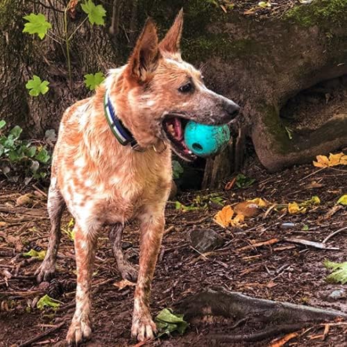 Chew King Fetch Balls Extremely Durable Natural Rubber Toy Pack of 3 - 3 inch Balls (CM-0263-CS01)