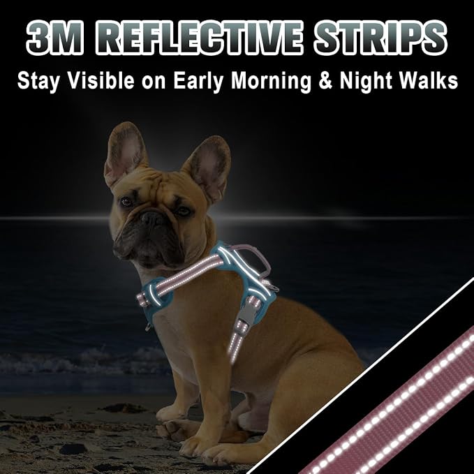BARKBAY No Pull Dog Harness Large Reflective Dog Harness with Front Clip and Easy Control Handle for Walking Training Running with ID tag Pocket(Baby Blue & Baby Pink,S)