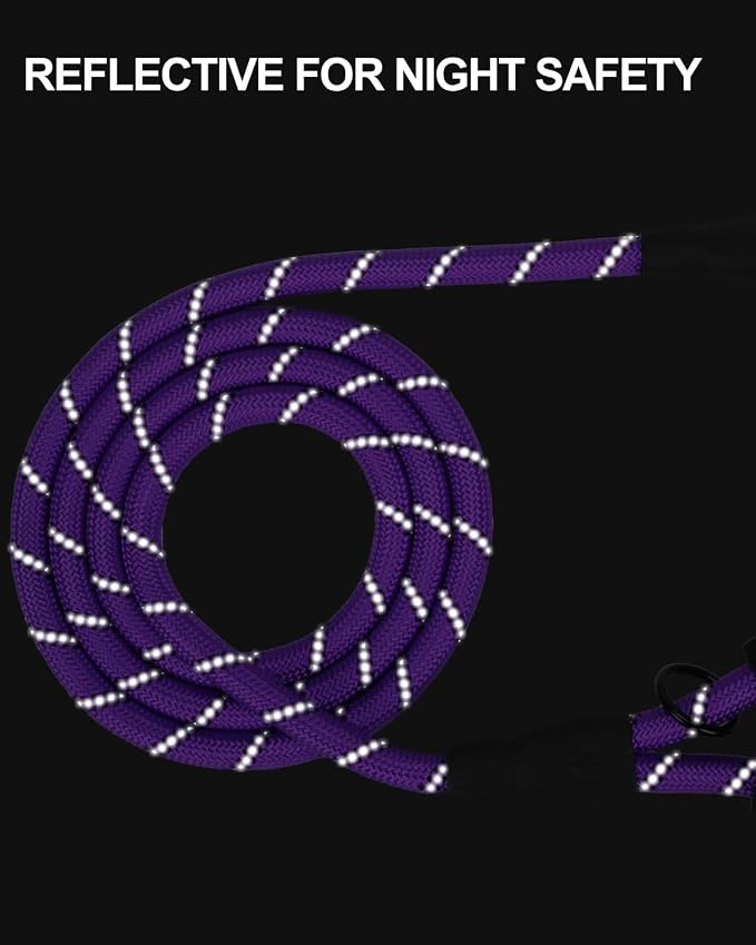 Joytale Dog Leash for Large Dogs, Heavy Duty Nylon Leashes with Comfortable Padded Handle and Highly Reflective Threads, Ideal for Walking and Training, Purple, 5'×1/2''