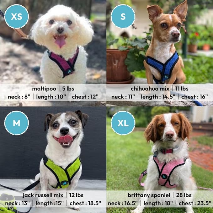 Gooby Comfort X Step in Lite Dog Harness - Choke Free, Escape Free with Light Breathable Mesh - Step in Dog Harness for Small Dogs Only - Quick Release Buckle, Metal D-Rings - Purple, Small