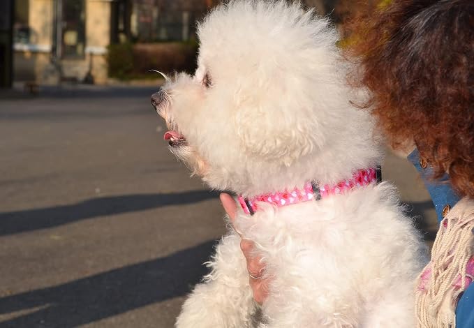 Mihqy Dog Collar - Adjustable Heart Dog Collar - Love Theme - Perfect for Small Medium Large Dogs(Pink Heart,S)