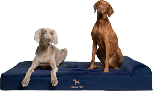 NOAH & PAW Giant Dog Bed XXL 55x45x9.5 Inch, Orthopedic Dog Beds, Eggshell Memory Foam Infused with Cooling Gel, Water Resistant, Machine Washable, Includes Inner Cover (Denim Collection)