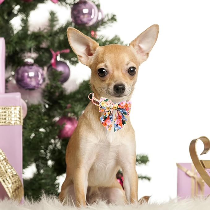 Unique style paws Cartoon Dog Collar with Bowtie Spring Summer Puppy Collar with Flower for Small Medium Large Boys Girls Dogs