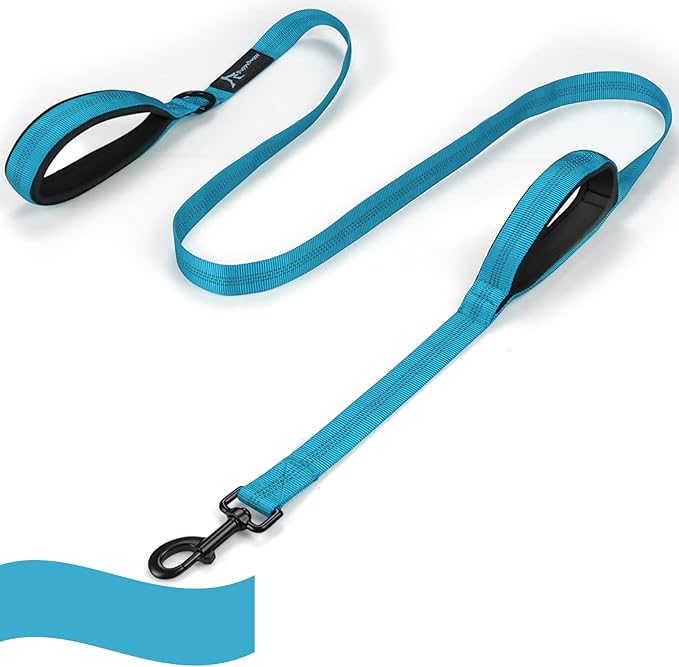 Dog Leash for Large Medium Dogs - 6 ft Reflective Stitching With 2 Traffic Padded Handles, Lead Rope for Running Walking Training (Blue 1 Pack)