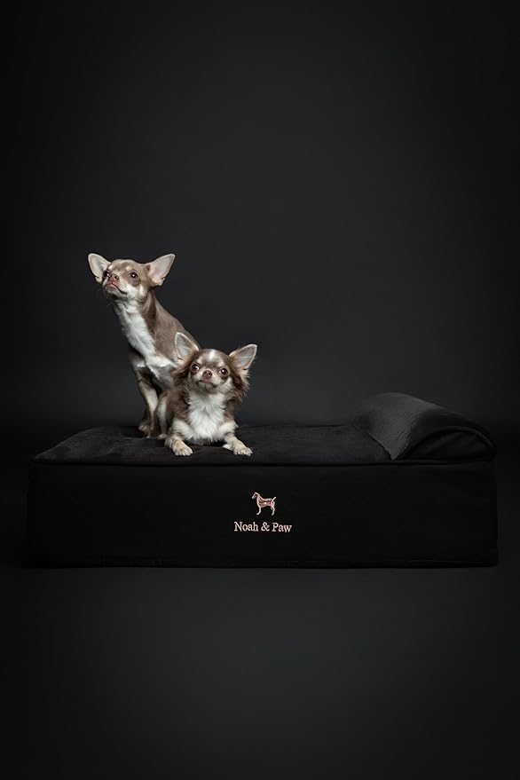 NOAH & PAW Dog Bed, 28x23x7.5 Inch, Orthopedic Dog Beds for Medium Size Pets, Eggshell Memory Foam Infused with Cooling Gel, Water Resistant, Machine Washable, Includes Inner Cover (Denim Collection)