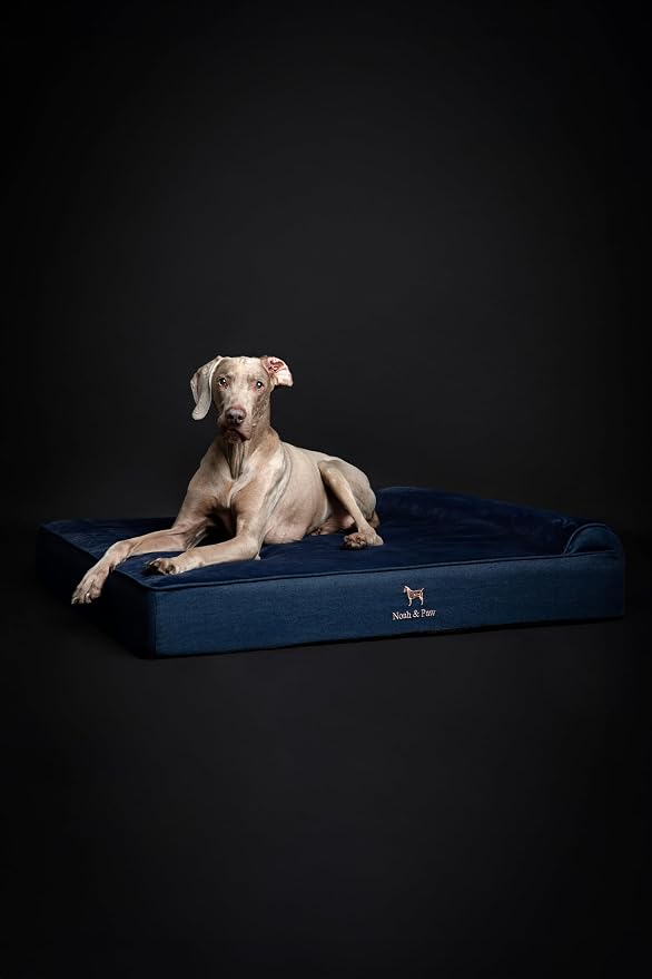 NOAH & PAW XL Dog Bed, 45x35x9.1 Inch, Orthopedic Large Dog Beds, Eggshell Memory Foam Infused with Cooling Gel, Water Resistant, Machine Washable, Includes Inner Cover (Denim Collection)