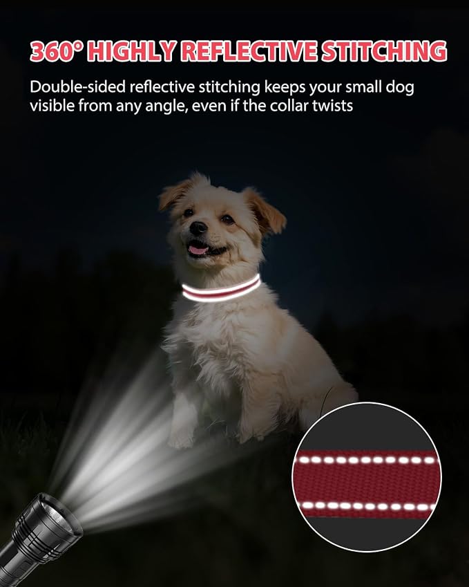 Joytale Small Dog Collar, Durable Double-Sided Reflective Nylon Collar for Night Safety, Adjustable Quick-Release for Active Breeds, Red, S (3/4" Width)