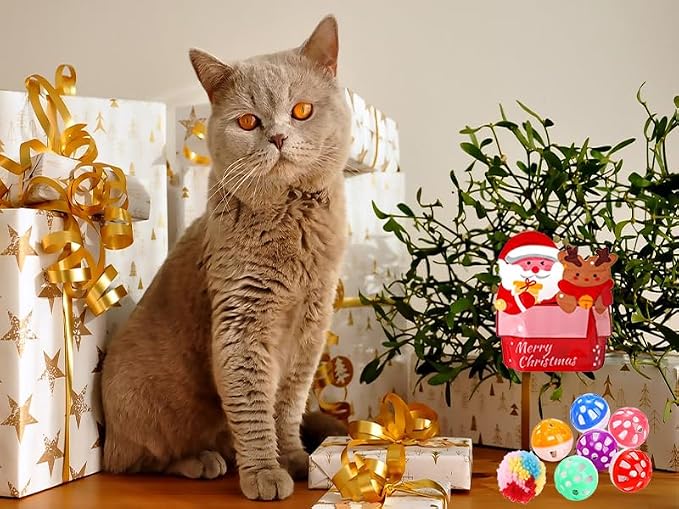 25 Pack Christmas Cat Toy, Kitten Toy Bag Set Assorted with Cat Spring Toy, Cat Ball Toy, Crinkle Cat Toy, Mouse for Cats Interactive Play