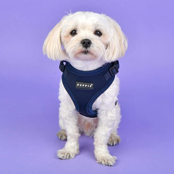 Puppia Authentic RiteFit Harness with Adjustable Neck, Orange, Small
