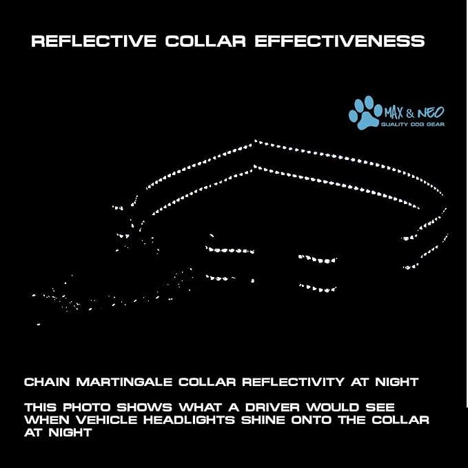Max and Neo Stainless Steel Chain Martingale Collar - We Donate to a Dog Rescue for Every Collar Sold (Large, Blue)
