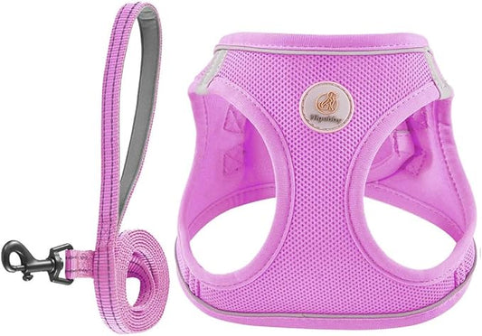 Hipubby Dog Harness and Leash Set, No Pull Soft Mesh Puppy Harness for Small Medium Dogs, Cats - Step in Reflective Breathable Lightweight Vest Harness for Walking, Training - Purple, XXS