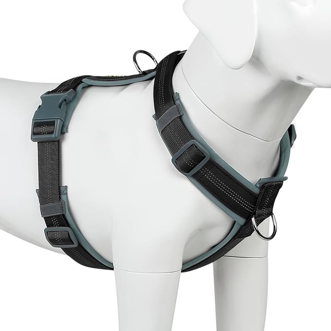 Plutus Pet No Pull Dog Harness, Adjustable Nylon Harness with Soft Padding, Reflective and Heavy Duty Dog Harness for Small, Medium, Large Dogs(Black, S)
