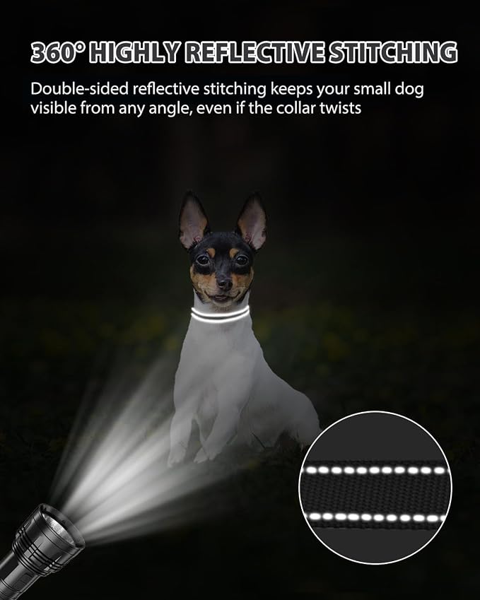 Joytale Puppy Collar, Feather-Light Double-Sided Reflective Nylon Collar for Night Safety, Adjustable Quick-Release for Extra Small Dogs, Black, XS (3/8" Width)