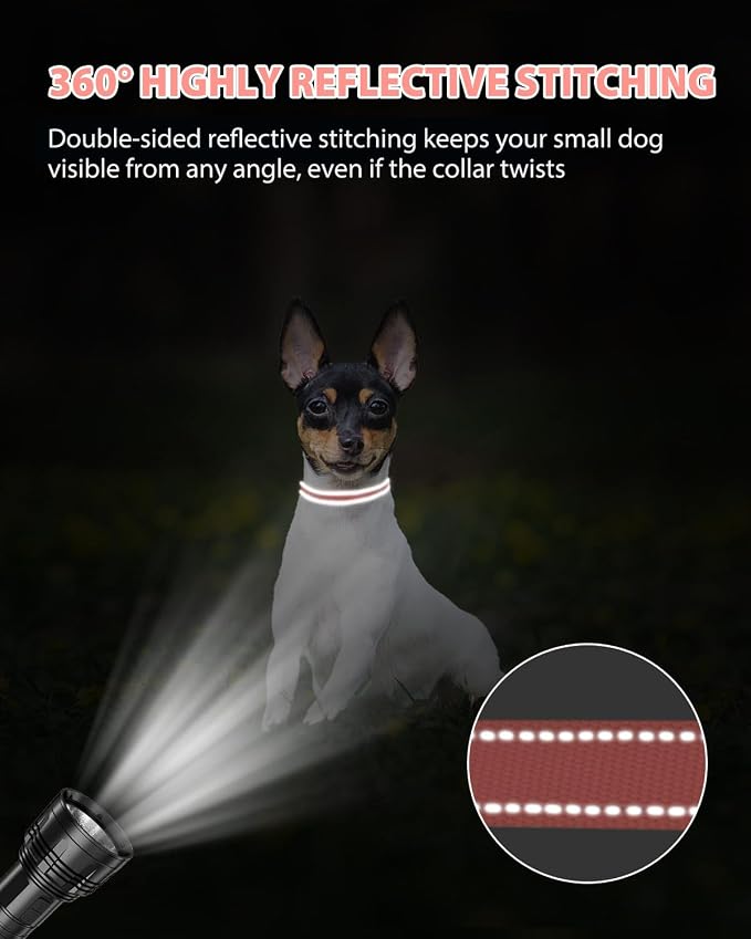 Joytale Puppy Collar, Feather-Light Double-Sided Reflective Nylon Collar for Night Safety, Adjustable Quick-Release for Extra Small Dogs, Pink, XS (3/8" Width)