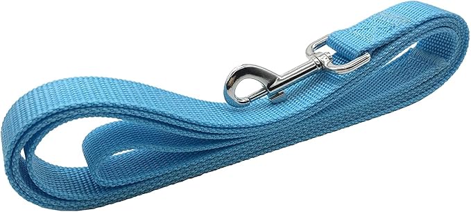 TAIAN 4FT/5FT/6FT Strong Dog Leash, Nylon Dog Leashes for Small Medium Large Dogs (Blue, 1 in x 10 ft)