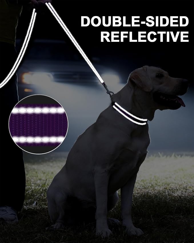 Taglory Dog Leash for Small Dogs, Double-Sided Reflective for Night Walking, Neoprene Padded Handle, 3/4 inch by 6 ft, Lightweight for Small Medium Breeds up to 30 lbs, Purple