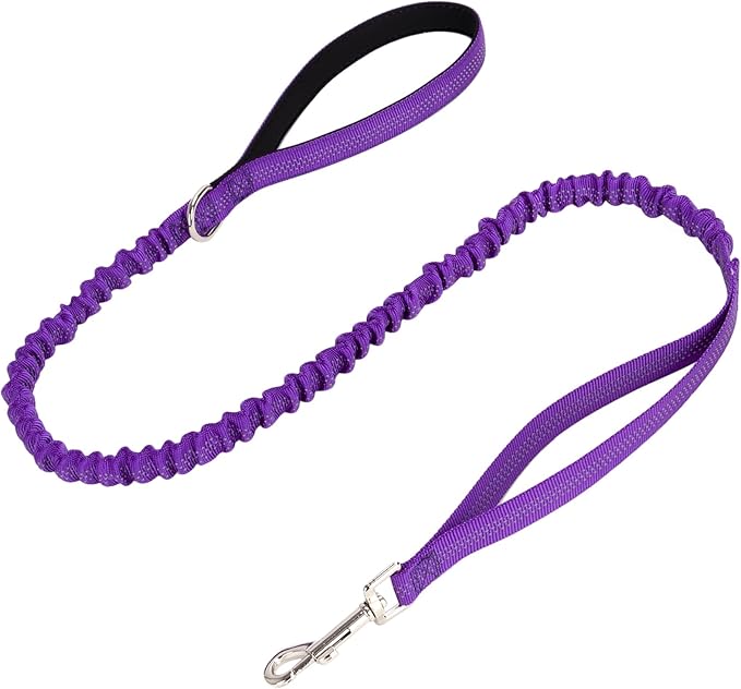 WYuZe 4-5.5 FT Bungee Dog Leash, Reflective Shock Absorbing Elastic Nylon Leash with Comfortable Handle, for Strong Puppy/Medium Dogs Anti-Pull Training Walking (Purple, 3/4"-Wide)