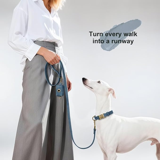 Didog Stylish PU Leather Dog Leash for Medium Dogs, Easy to Clean 5ft Dog Leashes for Large Dogs, Fashionable and Elegant for Walking, Running and Training,Blue, M