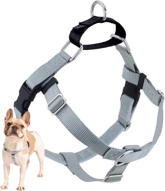 2 Hounds Design Freedom No Pull Dog Harness, Adjustable Harness, Easy Walking & Comfortable Control, Fits Small, Medium & Large Dogs, Solid Colors, Made in USA, 1" LG, Silver