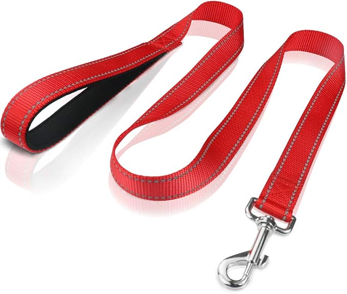 FunTags 4FT Red Reflective Dog Leash for Medium & Small Dogs Training, Soft Padded Handle Comfortable Grip, Heavy Duty Nylon, Reflective for Night Walking, 3/4in Wide
