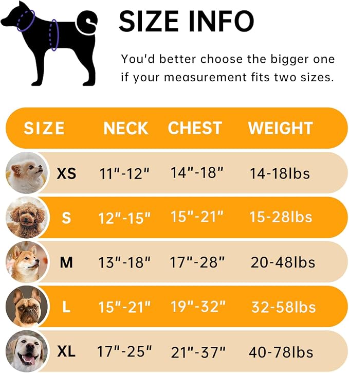 IVY&LANE No Pull Dog Harness for Medium Dogs, Dog Vest Harness with Leash, Safety Belt and Storage Strap, Fully Adjustable Harness, 360° Reflective Strip, Soft Handle (Orange, M)