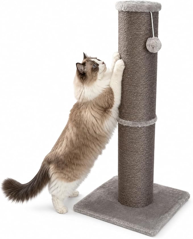 Sisal Cat Scratching Post for Indoor Cats & Kittens, 5.5" Diameter Heavy Duty Vertical Scratcher, 32 Inch Extra Tall Furniture Protector with Stable Base, Grey