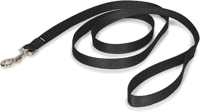 PetSafe Nylon Dog Leash Strong, Durable, Traditional Style Lead with Easy to Use Bolt Snap for Small, Medium and Large Dogs 3/4" x 6', Black