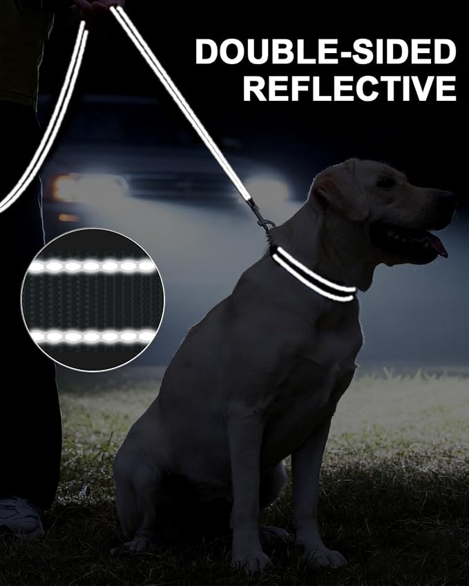 Taglory Dog Leash for Medium Large Dogs, Double-Sided Reflective for Night Walking, Neoprene Padded Handle, 1 inch by 5 ft, Heavy Duty for Medium Large Breeds 20-150 lbs, Grey