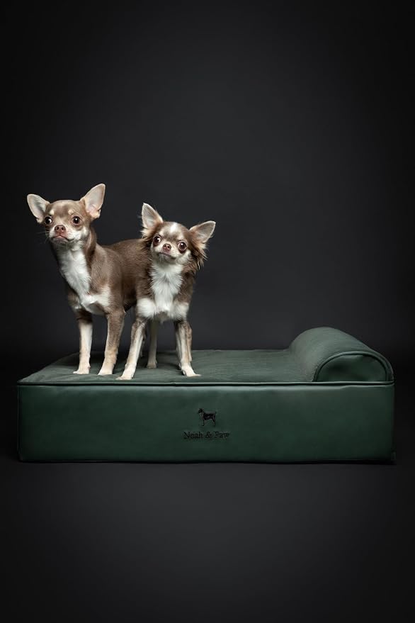 NOAH & PAW Dog Bed, 28x23x7.5 Inch, Orthopedic Dog Beds for Medium Size Pets, Eggshell Memory Foam Infused with Cooling Gel, Water Resistant, Machine Washable, Includes Inner Cover (Faux Leather)