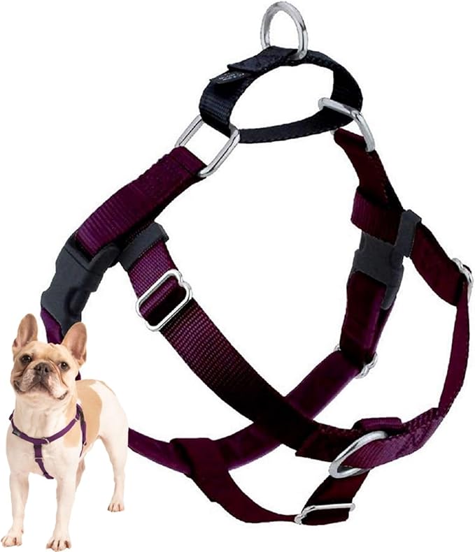 2 Hounds Design Freedom No Pull Dog Harness, Adjustable Harness, Easy Walking & Comfortable Control, Fits Small, Medium & Large Dogs, Solid Colors, Made in USA, 1" XXL, Burgundy