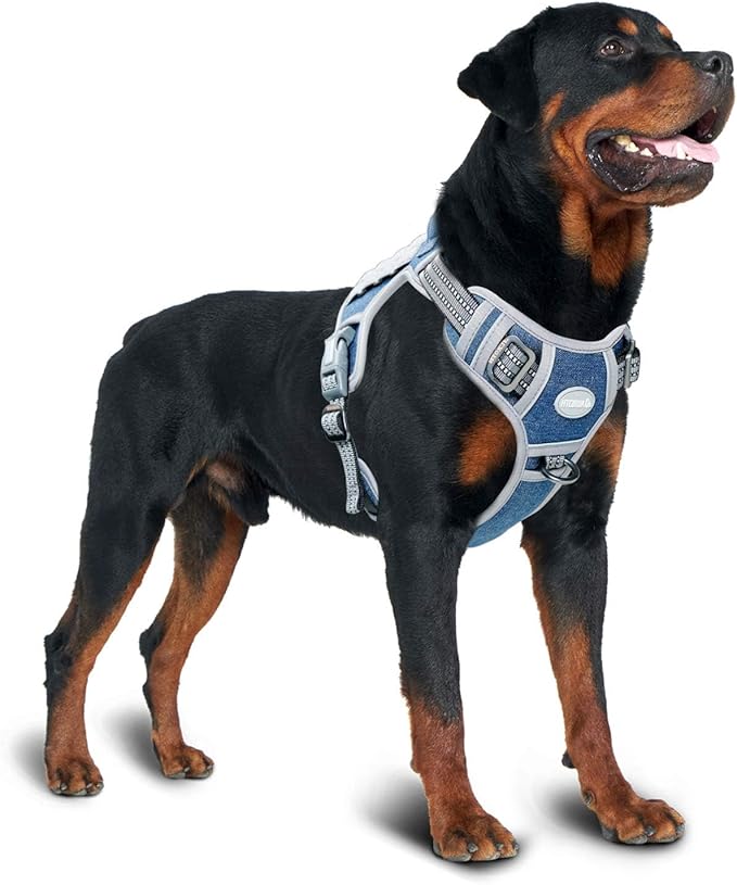 AUROTH Tactical Dog Harness for Small Medium Large Dogs No Pull Adjustable Pet Harness Reflective K9 Working Training Easy Control Pet Vest Military Service Dog Harnesses (M, Denim Blue)