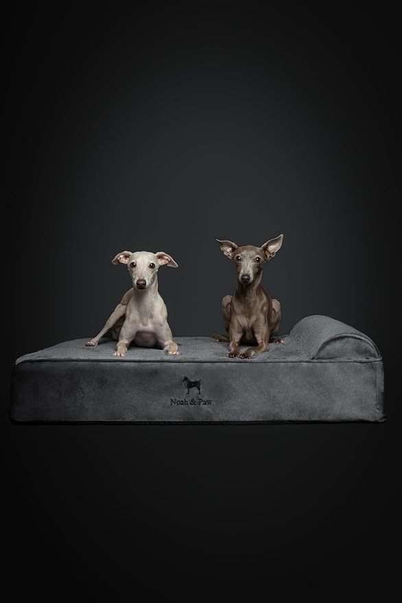 NOAH & PAW Large Dog Bed, 35x25x8.7 Inch, Orthopedic Dog Beds, Eggshell Memory Foam Infused with Cooling Gel, Water Resistant, Machine Washable, Includes Inner Cover (Velvet Collection)