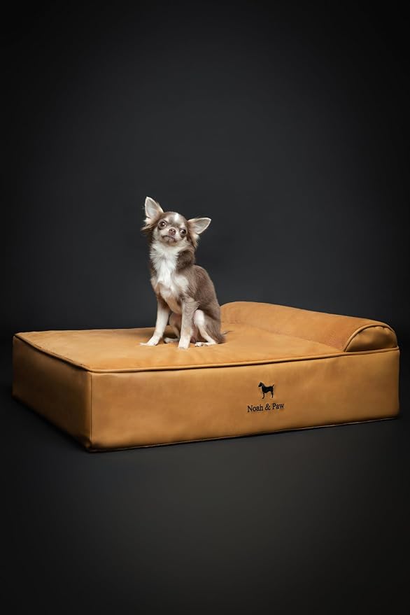 NOAH & PAW Dog Bed, 28x23x7.5 Inch, Orthopedic Dog Beds for Medium Size Pets, Eggshell Memory Foam Infused with Cooling Gel, Water Resistant, Machine Washable, Includes Inner Cover (Faux Leather)