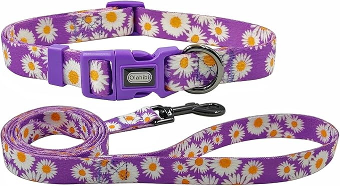 Dog Collar and Leash Set, Cute Daisy Pattern, Polyester Material, 5ft Leash, for Large Dogs.(Large,Purple Daisy)