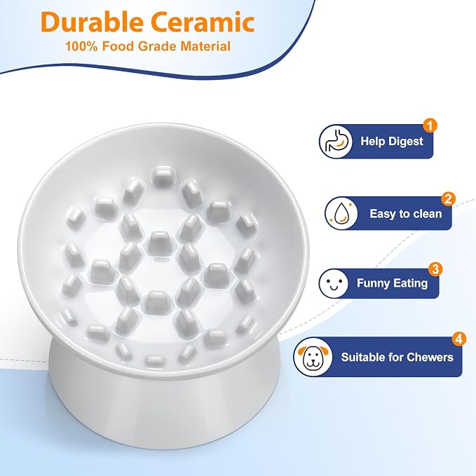 Ceramic Slow Feeder Cat Bowl, 2 Cups Tilted Elevated Cat Slow Feeder Bowl for Dry and Wet Food, Honeycomb Design for Preventing Vomiting & Bloating (White-Honeycomb)