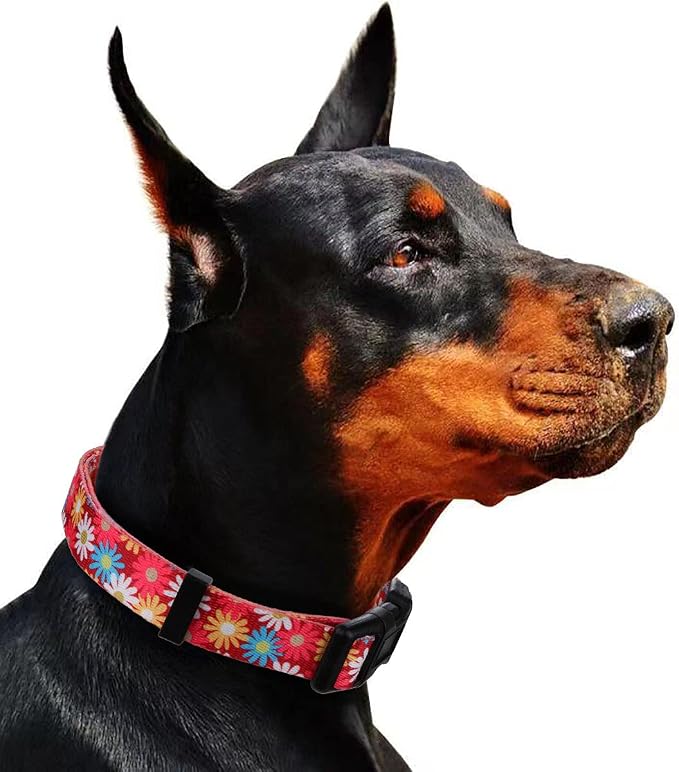 Girl Dog Collars Cute Pink Daisy Collar, Spring and Summer Flower for Small Dogs