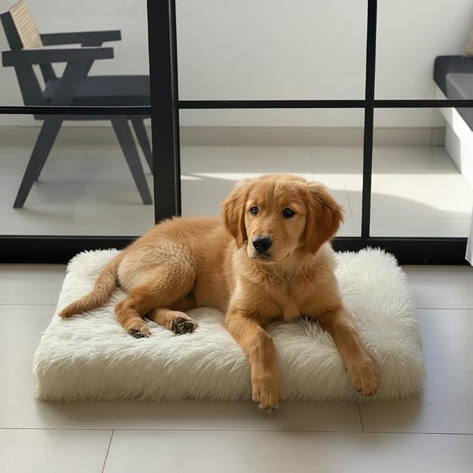 iHappyDog Faux Fur Orthopedic Dog Bed, Memory Foam Rectangular Crate Bed for Large XL Dogs, Plush Furry Bed That Looks Like a Rug, Calming Bed for Senior Dogs, Washable Cover - White, Medium 35" x 23"