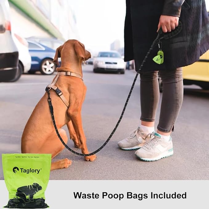Taglory Rope Dog Leash 4 FT with Comfortable Padded Handle, Highly Reflective Threads Leash and Anti-Tangle Clip for Walking Small Dogs, 3/8 inch, Black